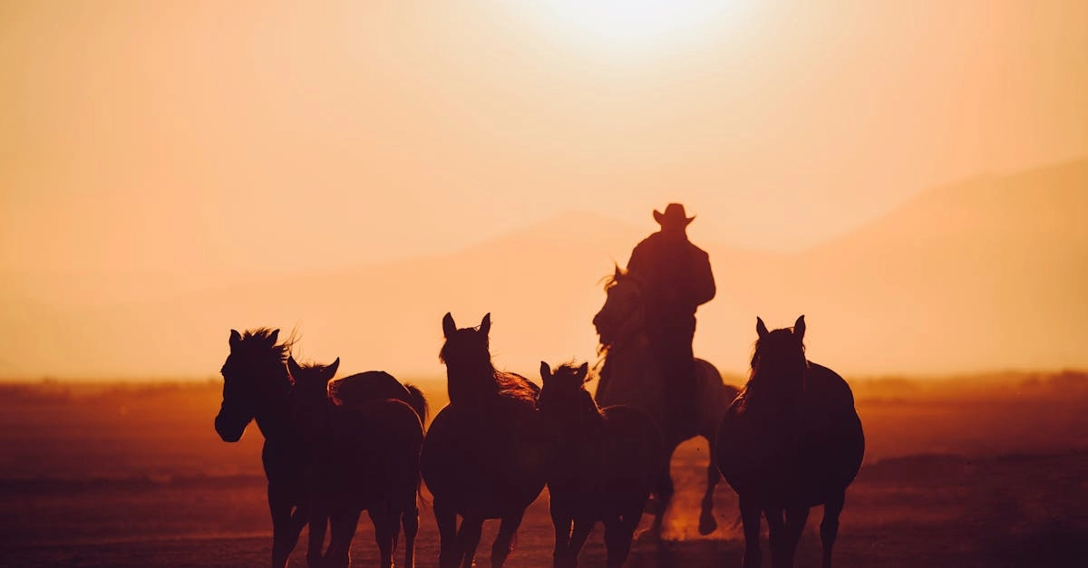 Mustang Gold слот игра для ценителей собственного успеха